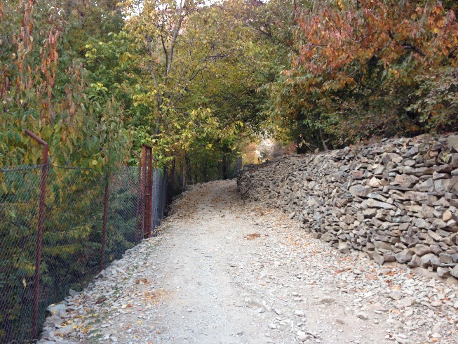 طبیعت زرد پاییزی هنگام صعود به قله توچال از مسیر آهار - شکرآب - توچال 